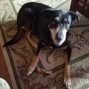 Fundraising Page: Ronald Hegmann